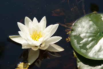 Krumau aug 035